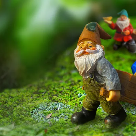 IFLY Gnomemeadow Frontpagehero 1920X1080