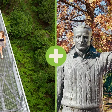 IFLY Bradman 800X590