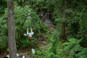 IFLY Zipline 70