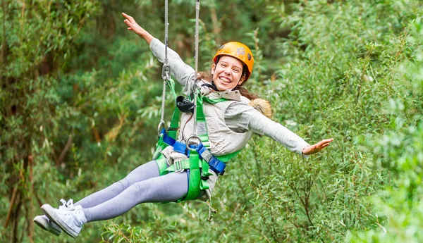 Zipline Banner 1